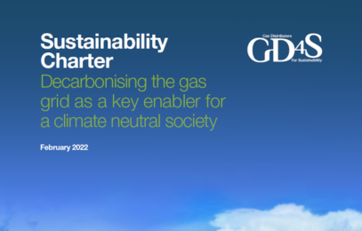 GD4S publishes its first Sustainability Charter image