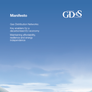 GD4S publishes its Manifesto 2024-2029 image