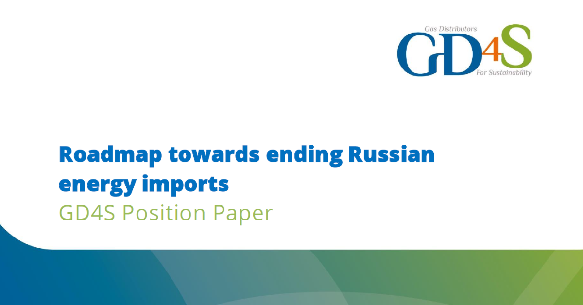 GD4S - A Strategic Partner in Ending Russian Gas Imports image