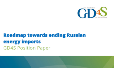 GD4S - A Strategic Partner in Ending Russian Gas Imports image